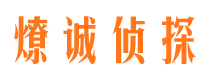 东湖市调查取证